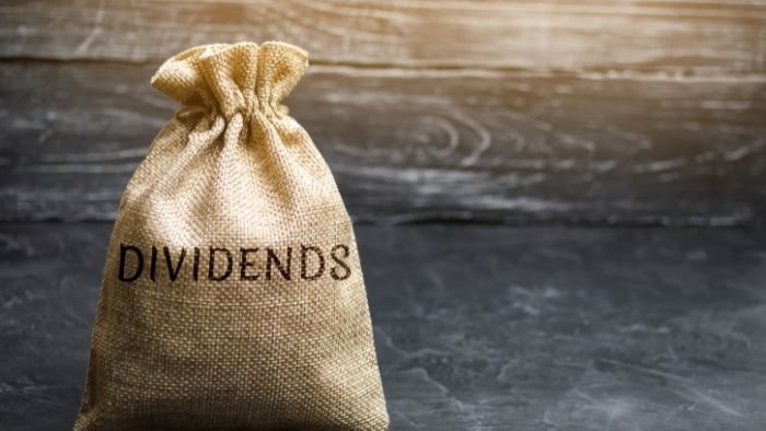 dividends bag